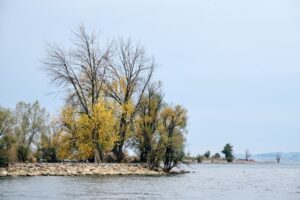 Photo Foods to avoid: Hard candies